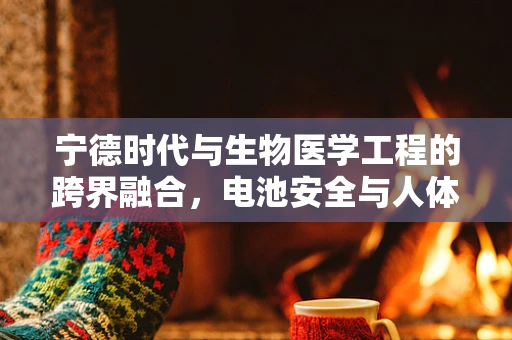 宁德时代与生物医学工程的跨界融合，电池安全与人体生物电的异同
