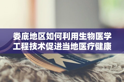 娄底地区如何利用生物医学工程技术促进当地医疗健康水平提升？
