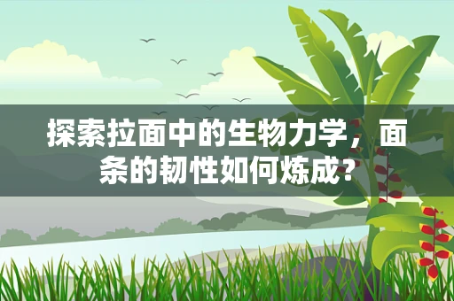 探索拉面中的生物力学，面条的韧性如何炼成？