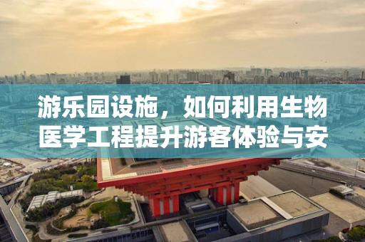 游乐园设施，如何利用生物医学工程提升游客体验与安全？