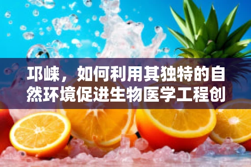 邛崃，如何利用其独特的自然环境促进生物医学工程创新？
