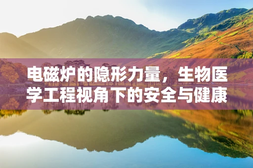 电磁炉的隐形力量，生物医学工程视角下的安全与健康考量