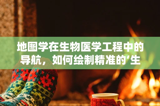 地图学在生物医学工程中的导航，如何绘制精准的‘生命路径’？