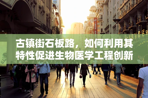 古镇街石板路，如何利用其特性促进生物医学工程创新？