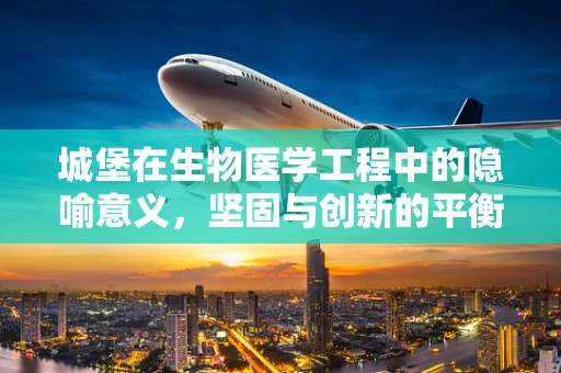 城堡在生物医学工程中的隐喻意义，坚固与创新的平衡