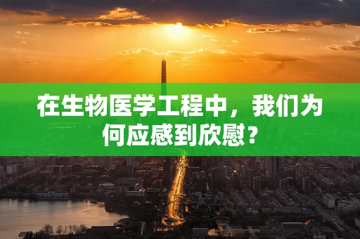 在生物医学工程中，我们为何应感到欣慰？