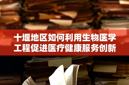 十堰地区如何利用生物医学工程促进医疗健康服务创新？