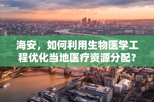 海安，如何利用生物医学工程优化当地医疗资源分配？