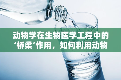 动物学在生物医学工程中的‘桥梁’作用，如何利用动物模型推动医疗创新？