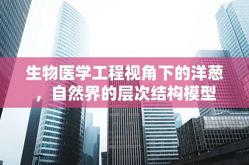 生物医学工程视角下的洋葱，自然界的层次结构模型
