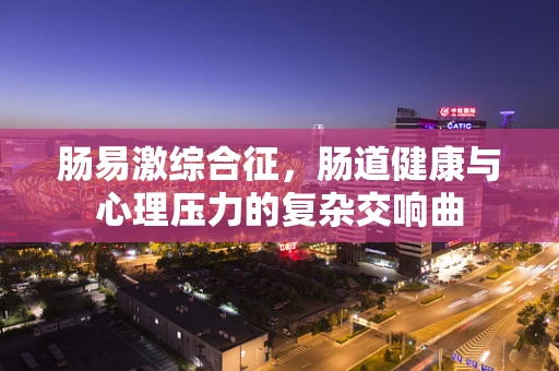 肠易激综合征，肠道健康与心理压力的复杂交响曲