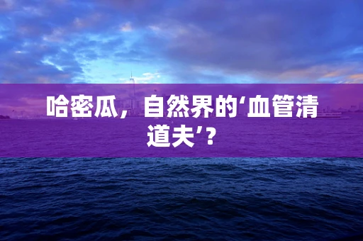 哈密瓜，自然界的‘血管清道夫’？