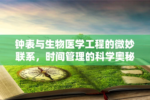 钟表与生物医学工程的微妙联系，时间管理的科学奥秘