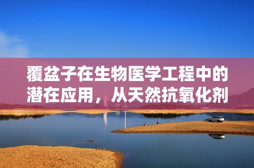 覆盆子在生物医学工程中的潜在应用，从天然抗氧化剂到智能药物递送系统