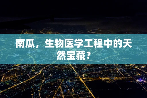 南瓜，生物医学工程中的天然宝藏？