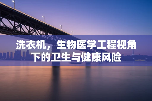 洗衣机，生物医学工程视角下的卫生与健康风险