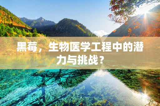 黑莓，生物医学工程中的潜力与挑战？