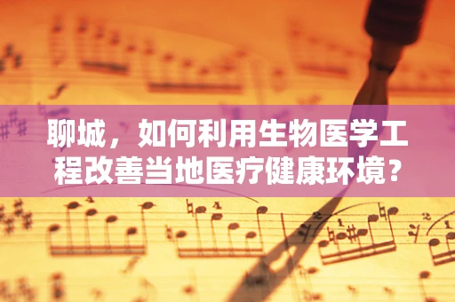 聊城，如何利用生物医学工程改善当地医疗健康环境？
