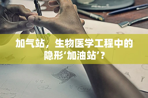 加气站，生物医学工程中的隐形‘加油站’？