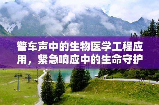 警车声中的生物医学工程应用，紧急响应中的生命守护者