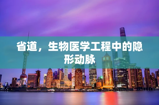 省道，生物医学工程中的隐形动脉