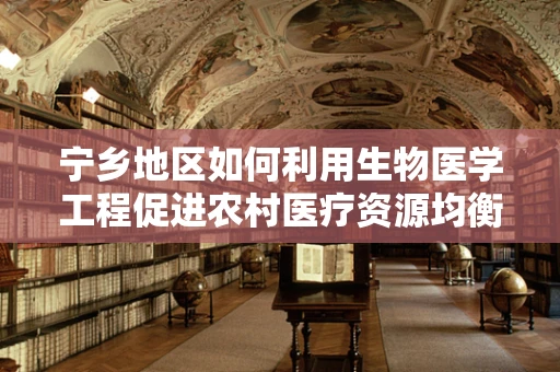 宁乡地区如何利用生物医学工程促进农村医疗资源均衡发展？
