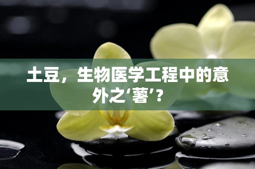 土豆，生物医学工程中的意外之‘薯’？