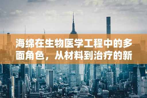 海绵在生物医学工程中的多面角色，从材料到治疗的新兴应用？