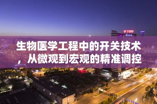 生物医学工程中的开关技术，从微观到宏观的精准调控之谜