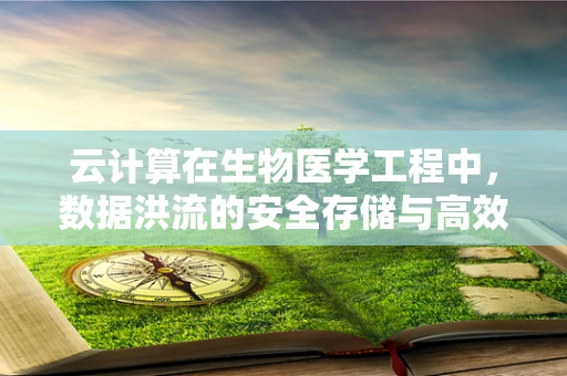 云计算在生物医学工程中，数据洪流的安全存储与高效分析之问？