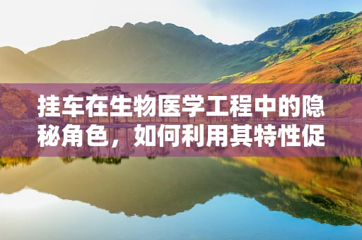 挂车在生物医学工程中的隐秘角色，如何利用其特性促进医疗物流优化？