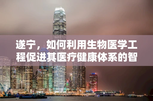 遂宁，如何利用生物医学工程促进其医疗健康体系的智慧升级？