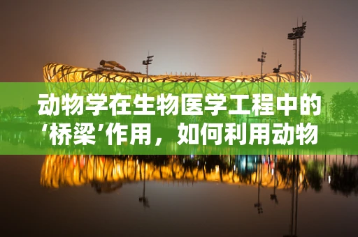 动物学在生物医学工程中的‘桥梁’作用，如何利用动物模型推动医疗技术创新？