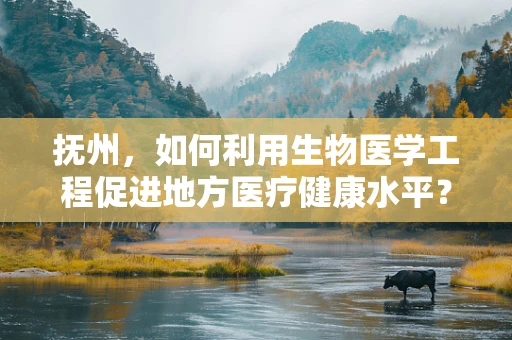 抚州，如何利用生物医学工程促进地方医疗健康水平？