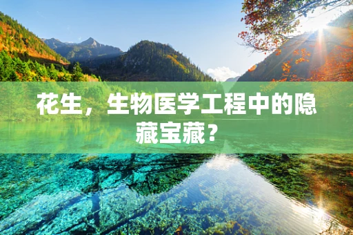 花生，生物医学工程中的隐藏宝藏？