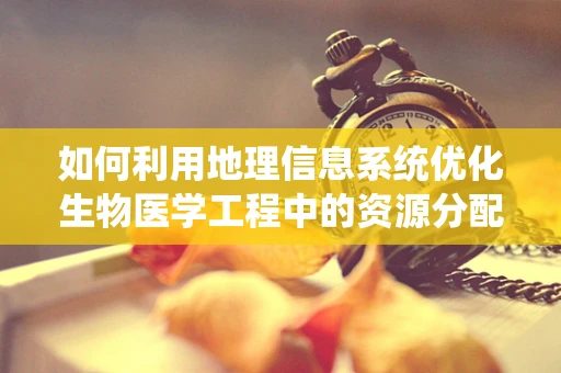 如何利用地理信息系统优化生物医学工程中的资源分配？