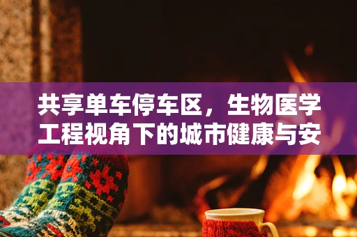 共享单车停车区，生物医学工程视角下的城市健康与安全考量