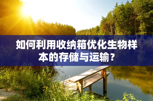 如何利用收纳箱优化生物样本的存储与运输？