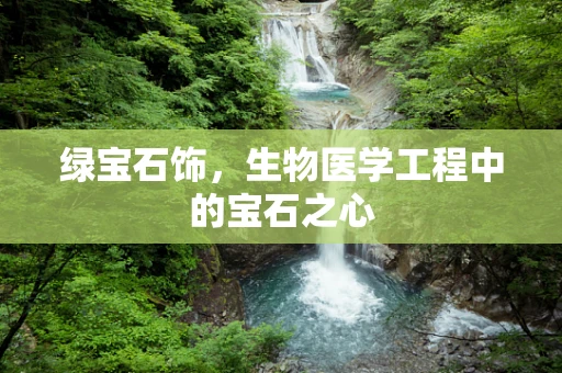 绿宝石饰，生物医学工程中的宝石之心