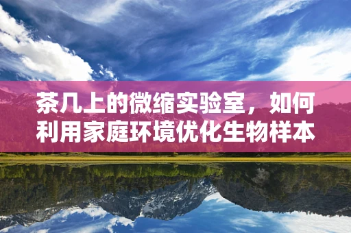 茶几上的微缩实验室，如何利用家庭环境优化生物样本的保存与监测？