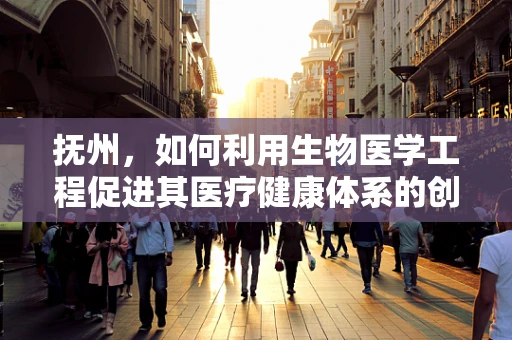 抚州，如何利用生物医学工程促进其医疗健康体系的创新发展？