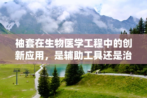 袖套在生物医学工程中的创新应用，是辅助工具还是治疗新途径？