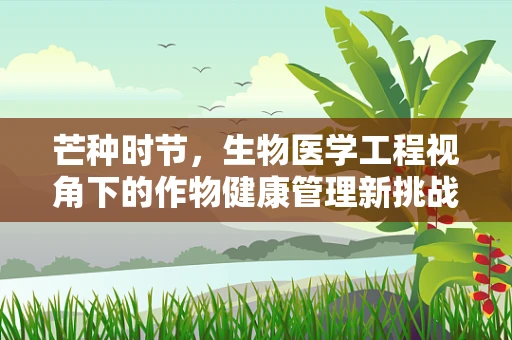 芒种时节，生物医学工程视角下的作物健康管理新挑战？