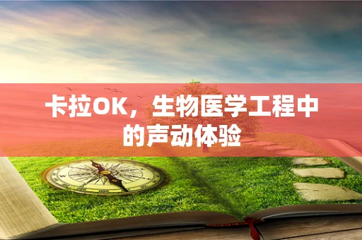 卡拉OK，生物医学工程中的声动体验