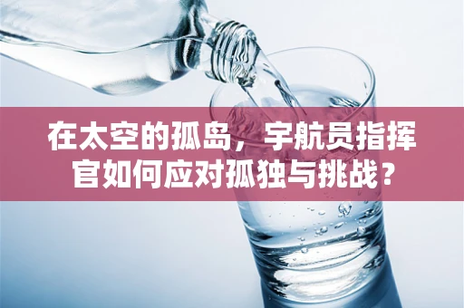 在太空的孤岛，宇航员指挥官如何应对孤独与挑战？