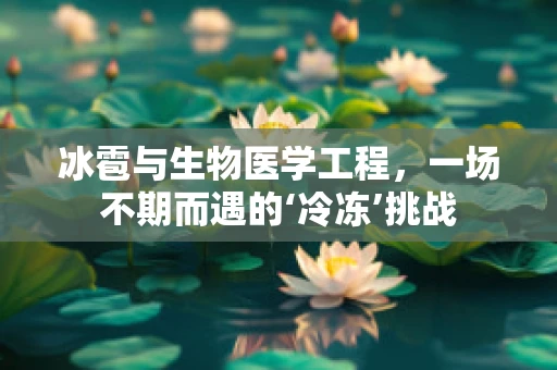 冰雹与生物医学工程，一场不期而遇的‘冷冻’挑战