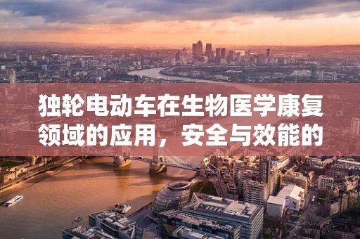 独轮电动车在生物医学康复领域的应用，安全与效能的平衡挑战？