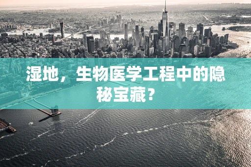 湿地，生物医学工程中的隐秘宝藏？
