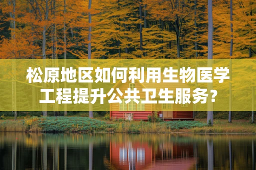 松原地区如何利用生物医学工程提升公共卫生服务？