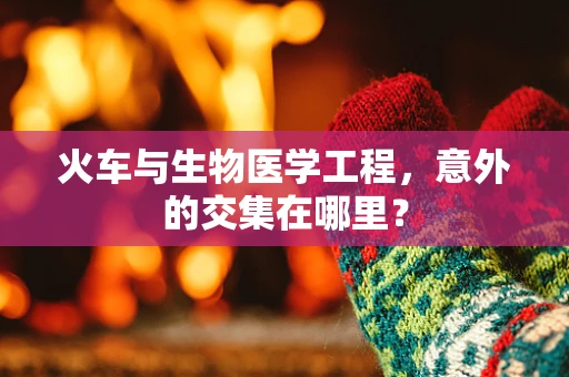 火车与生物医学工程，意外的交集在哪里？